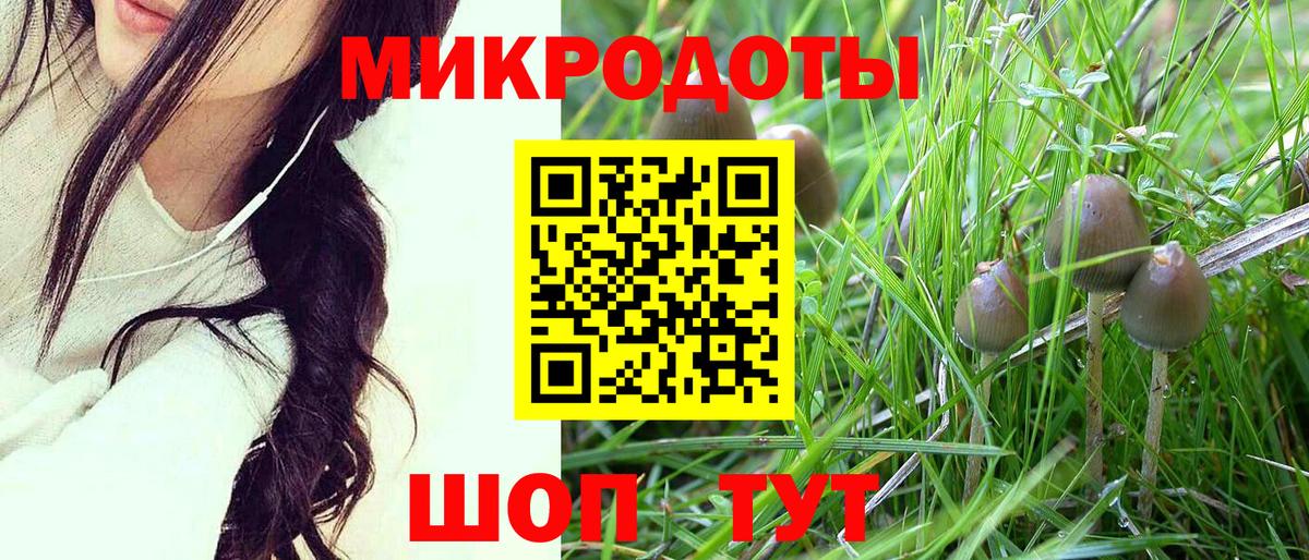 Псилоцибиновые грибы прущие грибы  Вход с VPN  Лыткарино 