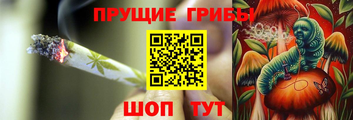Галлюциногенные грибы Psilocybe Лыткарино